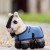 LeMieux Tiny Pony Dream