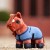 LeMieux Tiny Pony Thomas