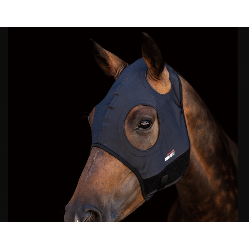 Titanium Mask Come Best