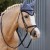 LeMieux Classic Flyhood Jay Blue