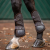 Stubben Hybrid Carbon Tendon Boots