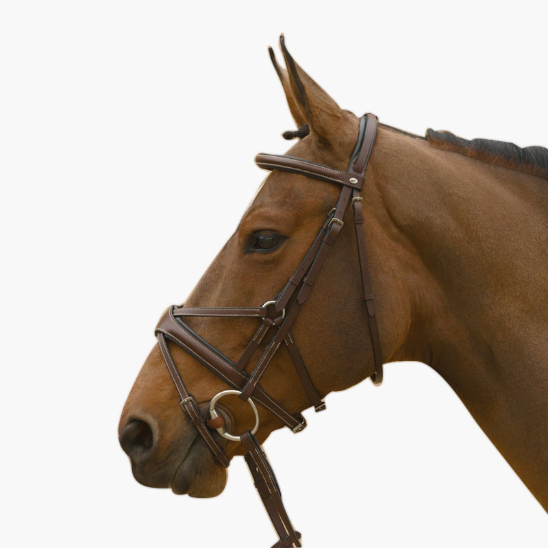 Lamicell Star Flash Noseband Bridle Brown