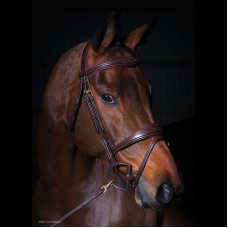 Dy'on Anatomic Bridle Brown Dy'on Anatomic Bridle Brown