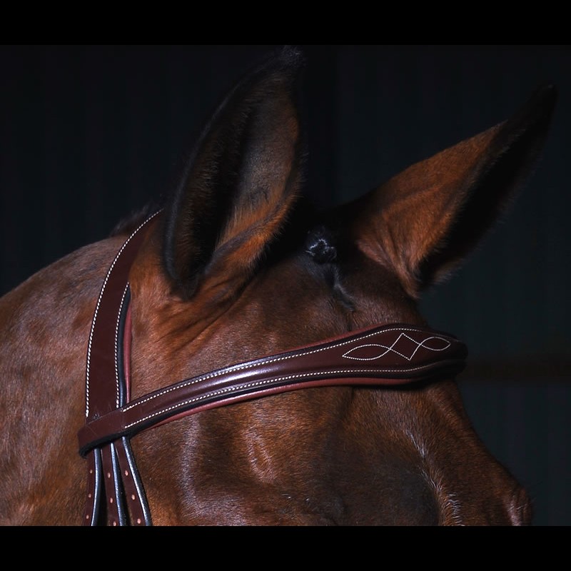 Dy'on Anatomic Bridle Brown