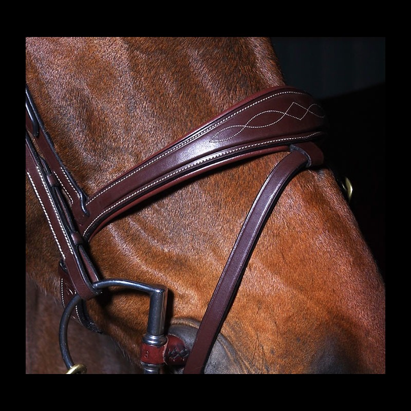 Dy'on Anatomic Bridle Brown