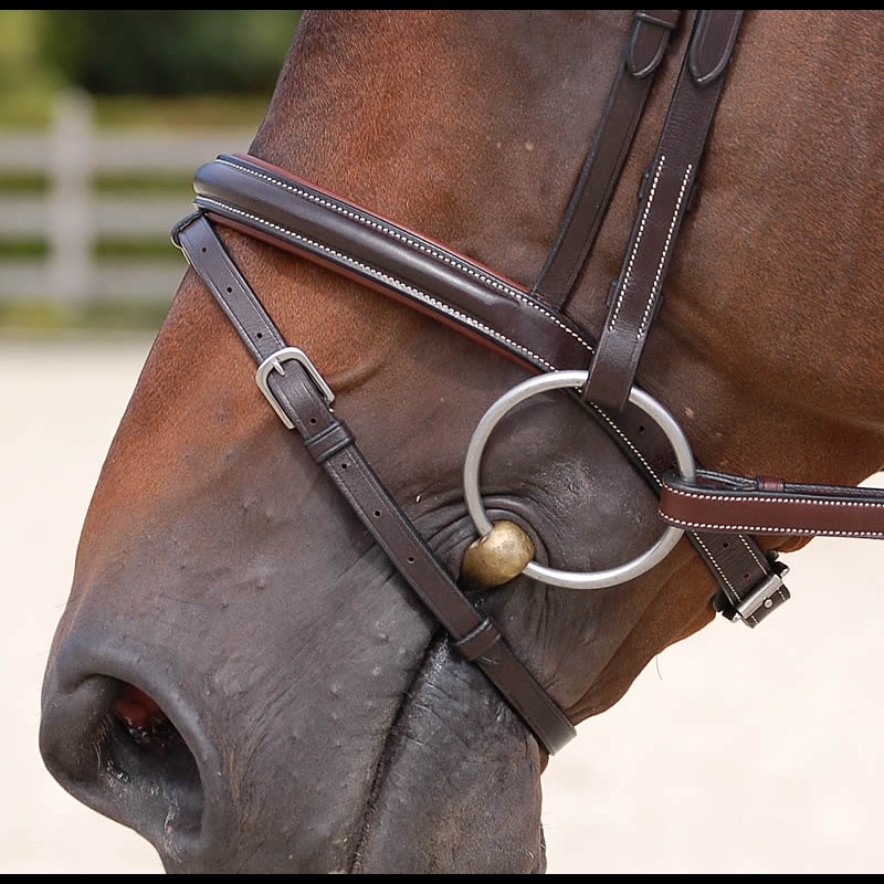 Dy'on Flash Noseband Bridle Brown