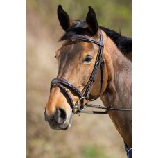 HFI Elegant Bridle Brown