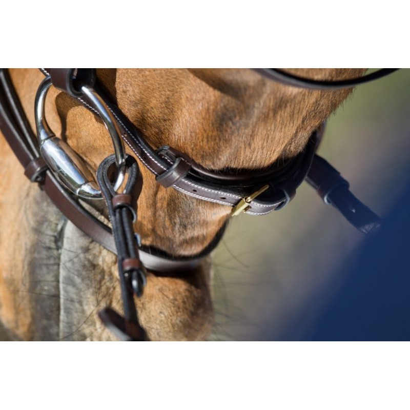 HFI Elegant Bridle Brown