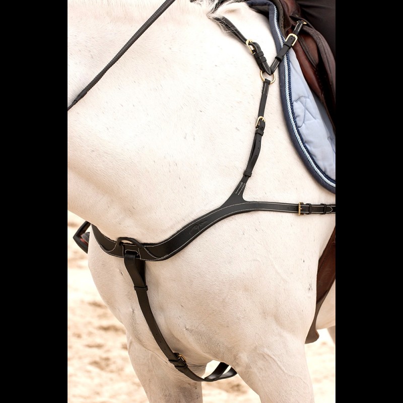 Dy'on Anatomic Breastplate