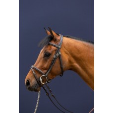 Dy'on Flash Noseband Bridle Brown Dy'on Flash Noseband Bridle Brown