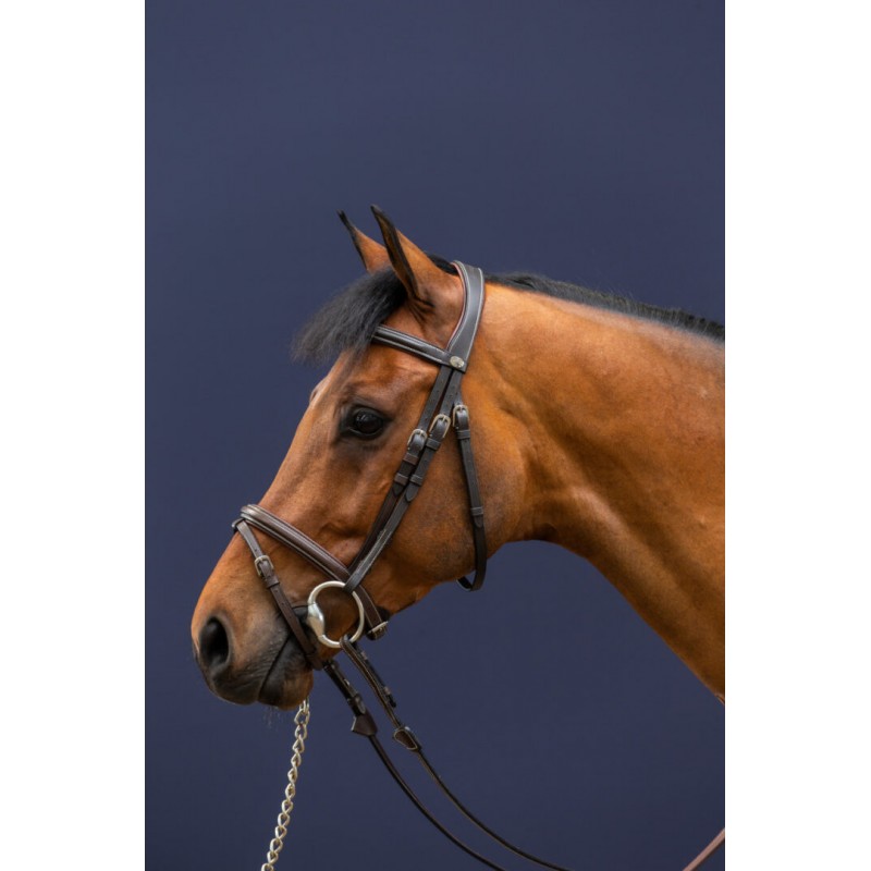 Dy'on Flash Noseband Bridle Brown