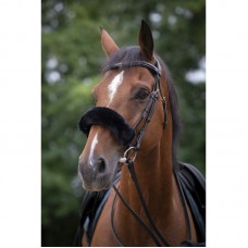 Equi-Theme Noseband Sleeve