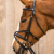 Lamicell Star Flash Noseband Bridle Black