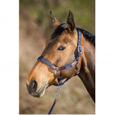 HFI Smart Halter with Rope Cob