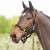 Lamicell Elegance Headcollar Black