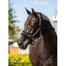 LeMieux Vogue Headcollar Black