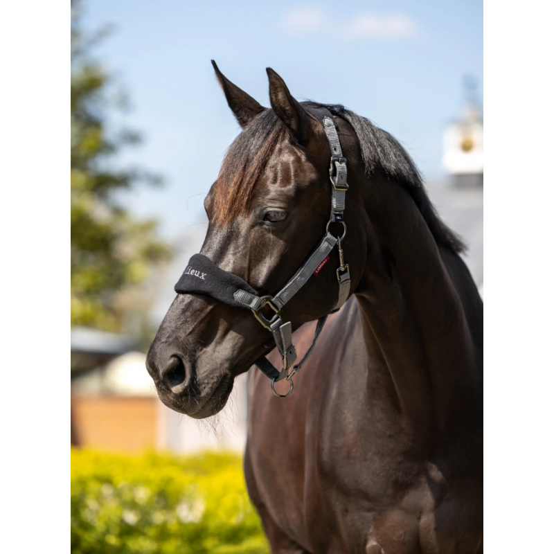 LeMieux Vogue Headcollar Black LeMieux Vogue Headcollar Black