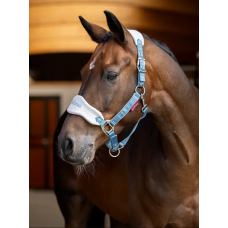 LeMieux Vogue Headcollar Ice Blue