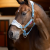 LeMieux Vogue Headcollar Ice Blue