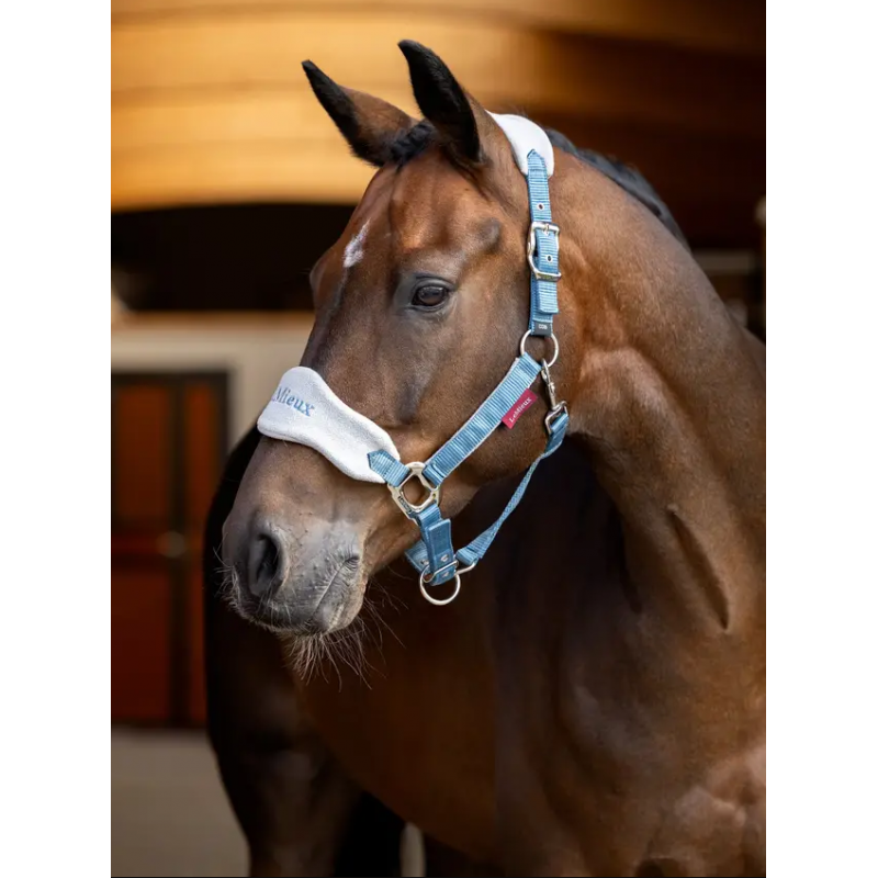 LeMieux Vogue Headcollar Ice Blue