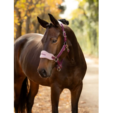 LeMieux Vogue Headcollar Blackberry