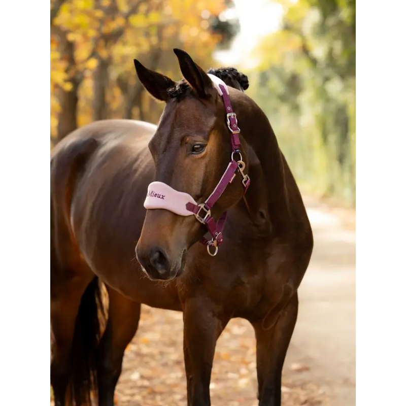 LeMieux Vogue Headcollar Blackberry