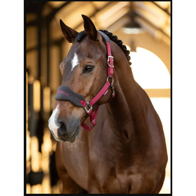 LeMieux Vogue Headcollar Ember