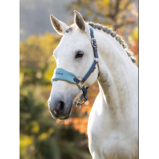 LeMieux Vogue Headcollar Petrol
