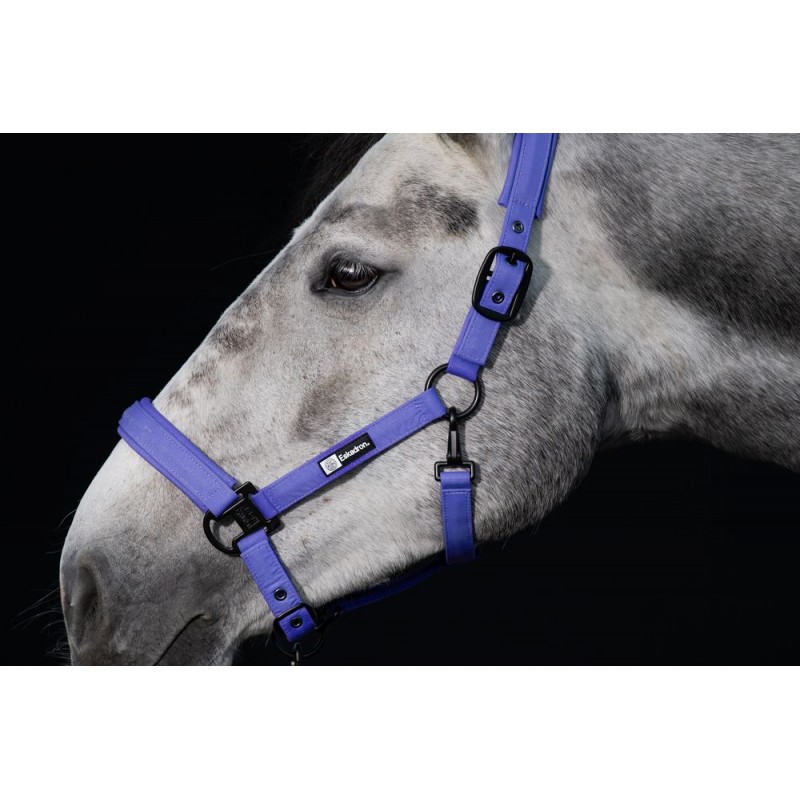 Eskadron Dynamic Sparkle Headcollar Purple