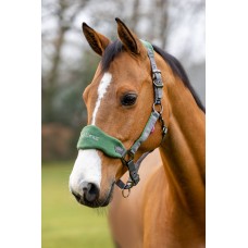 LeMieux Vogue Headcollar Hunter Green
