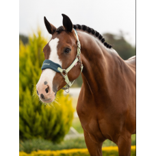 LeMieux Vogue Headcollar Macaron