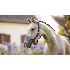 LeMieux Vogue Headcollar Indigo