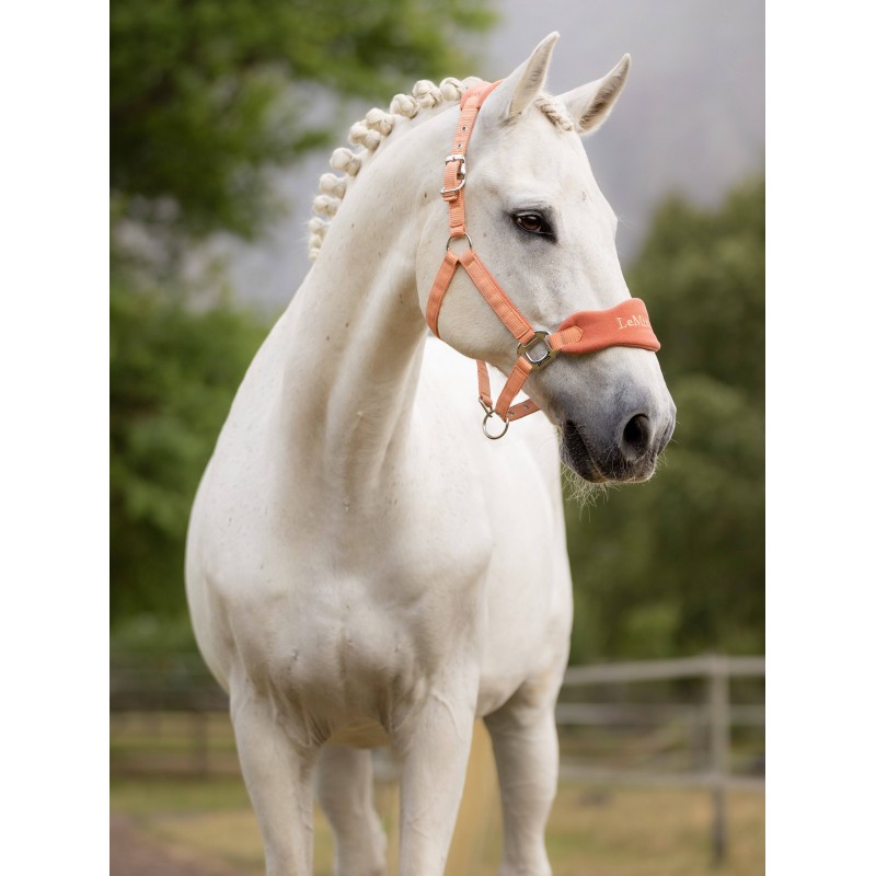 LeMieux Vogue Headcollar Apricot