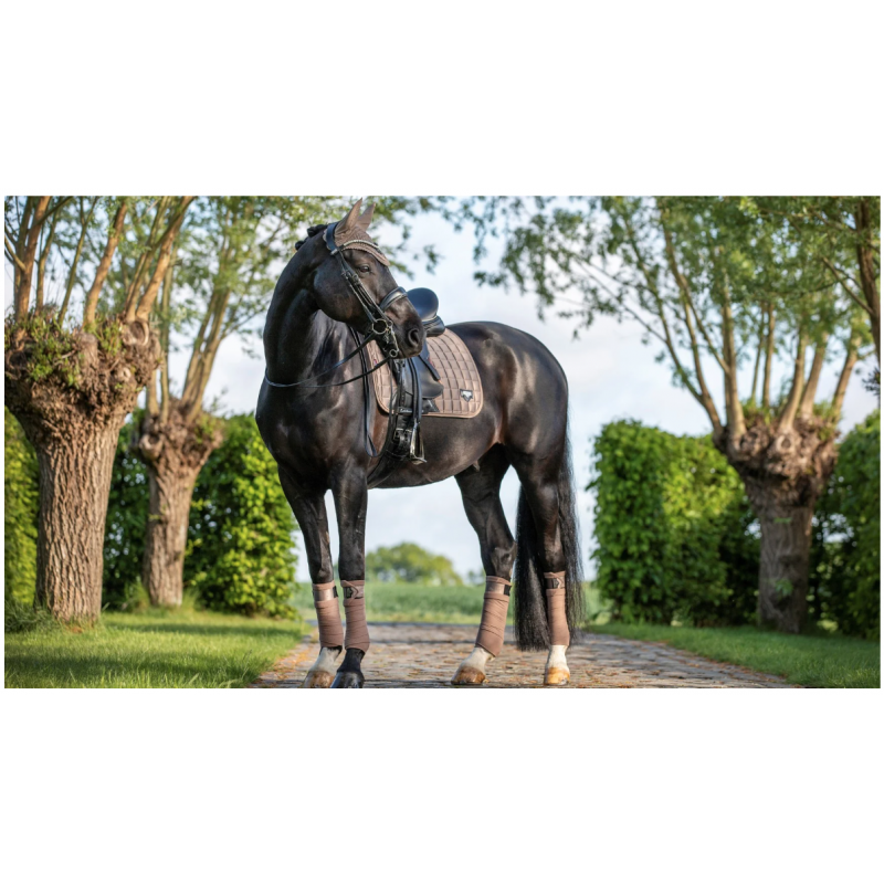 LeMieux Loire Dressage Saddle Pad