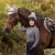 LeMieux Suede Close Contact Saddle Pad L