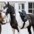 LeMieux Suede GP Square Saddle Pad