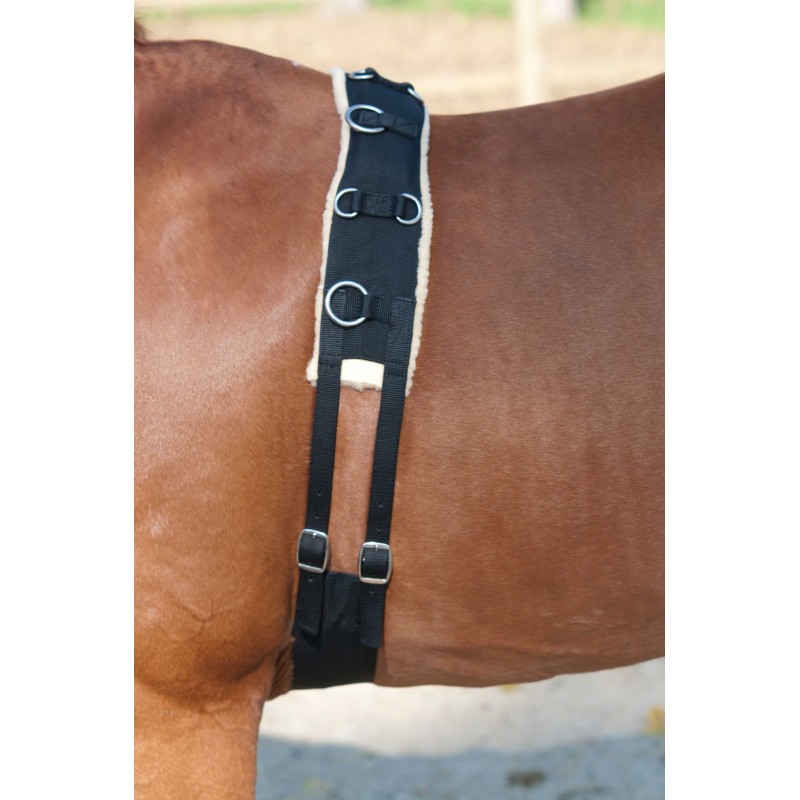 Lamicell Lunging Girth