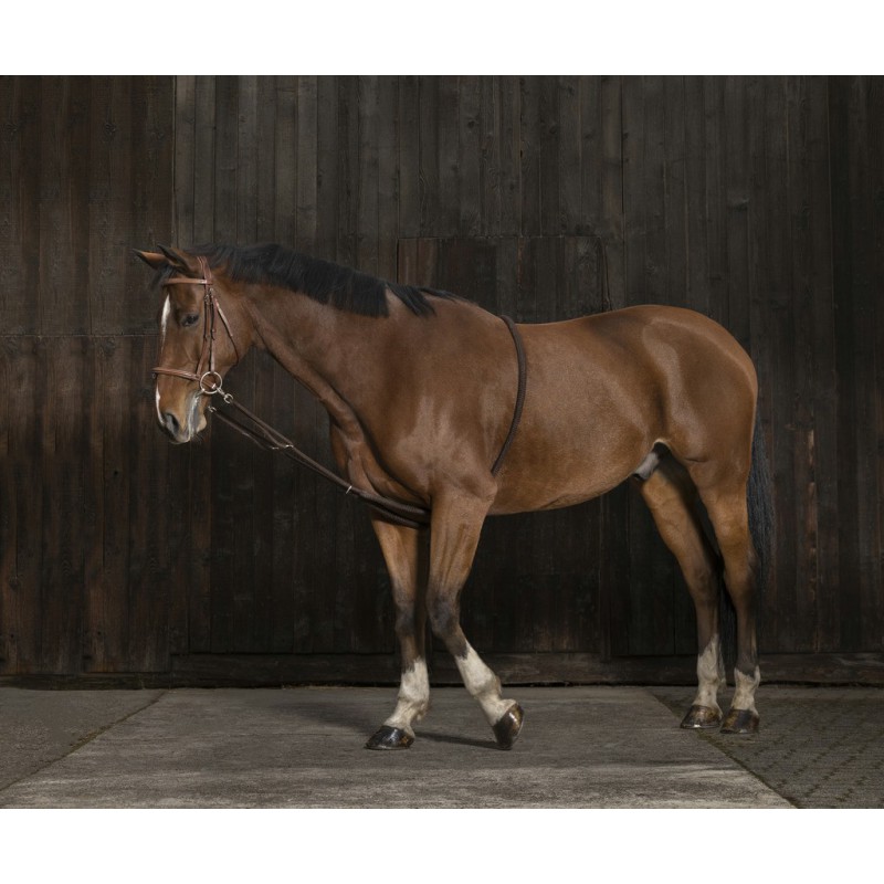 Norton Lunging Aid