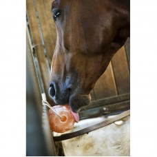 Hippotonic Himalayan Salt