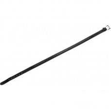 Equi-Theme Fancy Belt